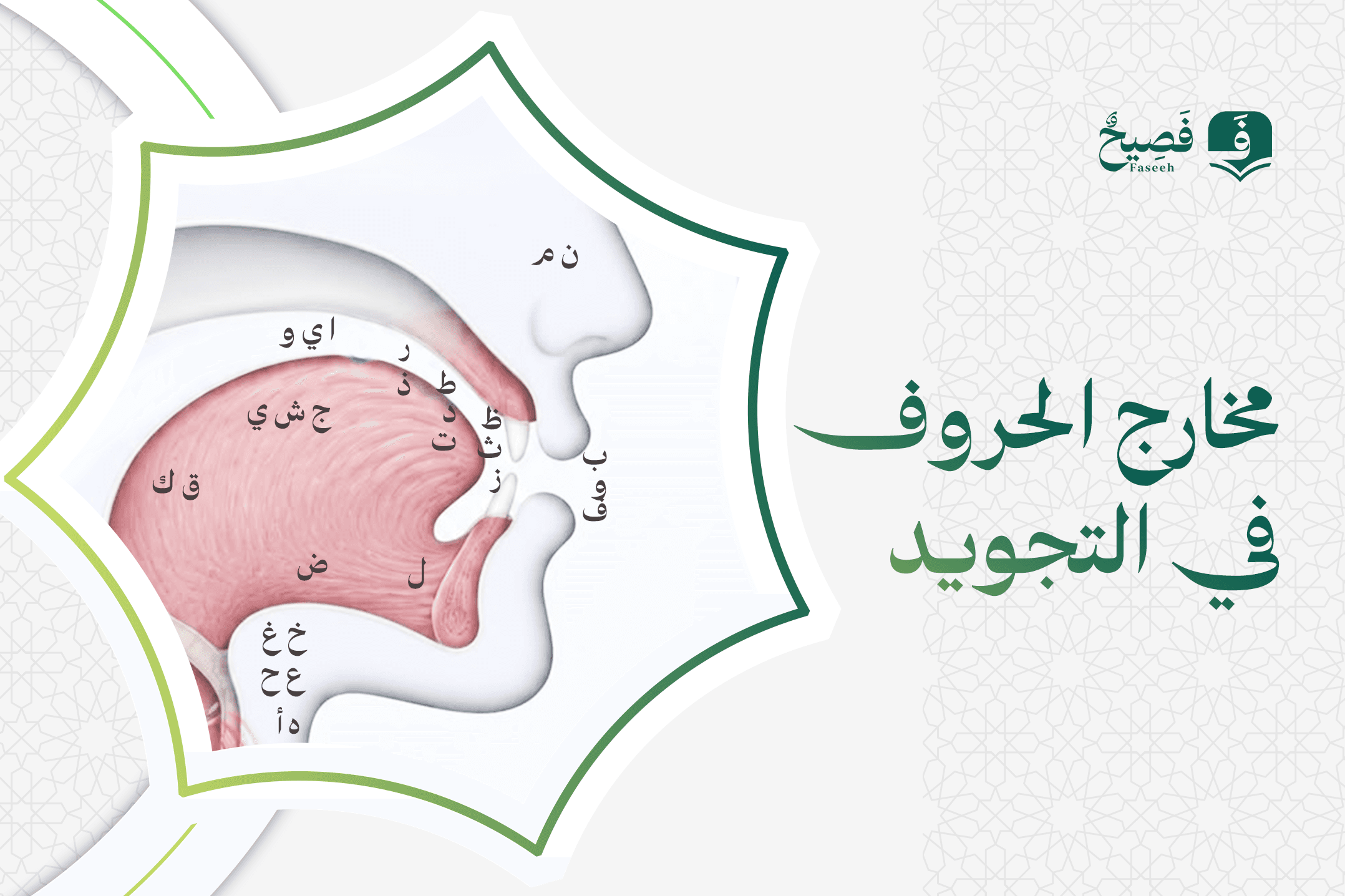 مخارج الحروف في التجويد
